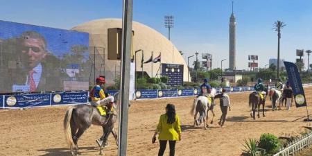 اليوم.. نادي الجزيرة يستضيف كأس رئيس الإمارات للخيول العربية