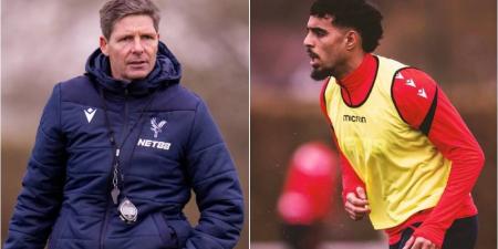 مدرب كريستال بالاس يوضح سبب غياب شادي رياض عن مباراة ألكمار: "انزلق في التداريب وتعرض لردة فعل خفيفة في ركبته"