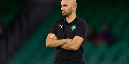 الركراكي: "اخترنا عدم تجاوز 26 لاعبا في قائمة المنتخب للحفاظ على توازن المجموعة وإيغامان سيأتي غدا لمتابعة العلاج"