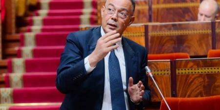 مستهدفا تطوير القارة.. فوزي لقجع يقترح إقامة بطولات أوروبية إفريقية