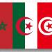 المغرب وتونس والجزائر 3 ممثلين للعرب في كأس أمم إفريقيا للسيدات 2025