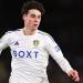 Brentford close in on £35m deal to sign Leeds midfielder Archie Gray... as Bees steal march on Tottenham and Arsenal for the highly-rated teenager