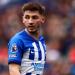 Napoli ready to increase offer for Brighton midfielder Billy Gilmour after £8m bid was rejected... with Antonio Conte also keen to reunite with Romelu Lukaku again