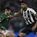 موعد مباراة بالميراس ضد بوتافوجو في كأس العالم للأندية