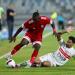 الزمالك يواصل تدريباته دون راحة استعدادًا لمواجهة فاركو
