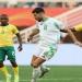 الجزائر ضد غينيا لمواصلة مسيرة الانتصارات في تصفيات كأس 2026