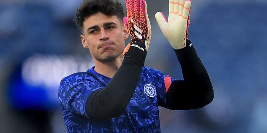 Kepa Arrizabalaga added to Spain's emergency 'parallel' bubble for Euro 2020 after main squad were put into isolation following Sergio Busquets' positive Covid-19 test - and Chelsea goalkeeper is joined by Leeds' Rodrigo and West Ham's Pablo Fornals 