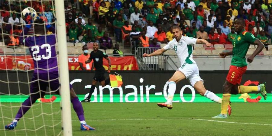 أول رد رسمي من فيفا على طلب الجزائر بإعادة مباراة الكاميرون