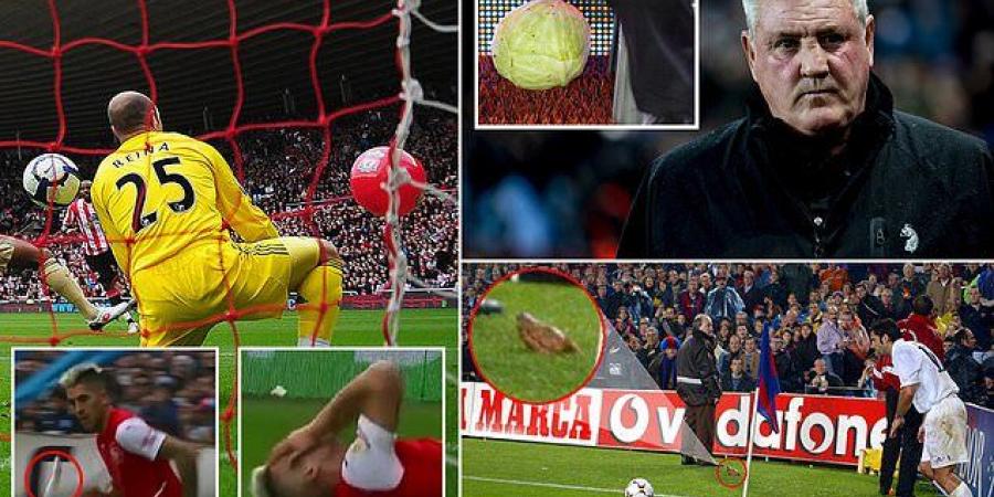 The beach ball that left Pepe Reina stranded, a pig's head thrown at Luis Figo and the CABBAGE thrown at Steve Bruce... Independiente forward Leandro Fernandez being hit in the face by a fish was just the latest weirdest object thrown onto a pitch