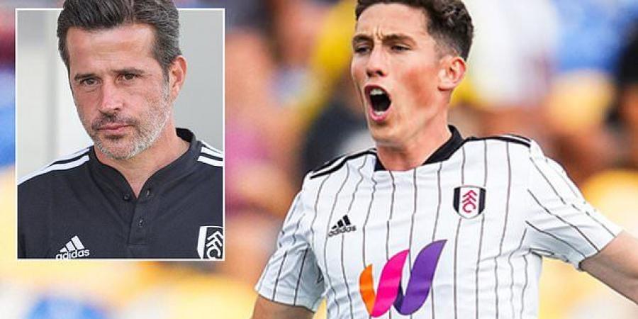 Fulham boss Marco Silva says Harry Wilson WILL recover in time to play in World Cup after knee injury rules the Wales star out of start to the season and up to two months of action