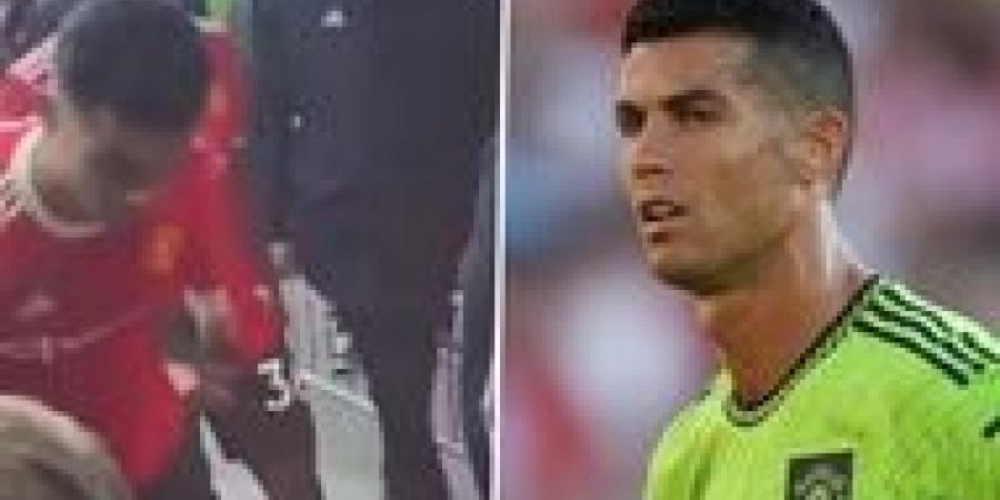 Ronaldo cautioned by police for phone smash incident