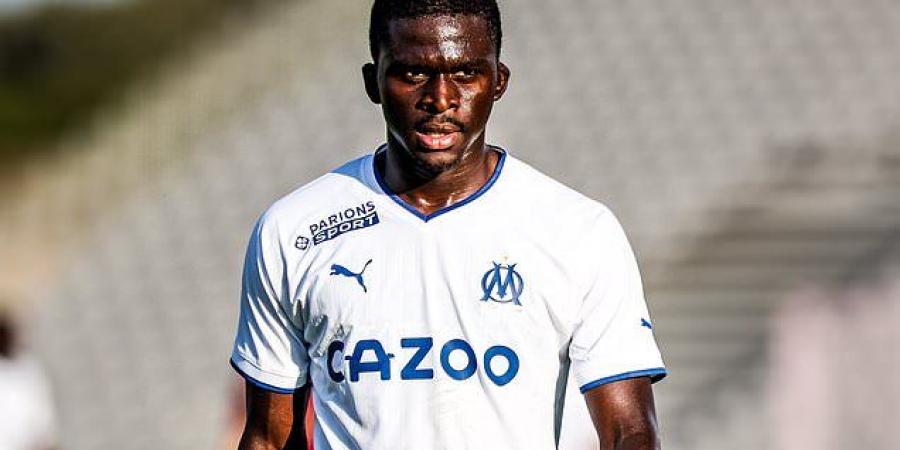 Leeds are in talks with Marseille to gazump Fulham to signing Bamba Dieng... as Jesse Marsch turns to the Senegal forward after moves for PSV star Cody Gakpo and Wolves striker Hwang Hee-chan fell through