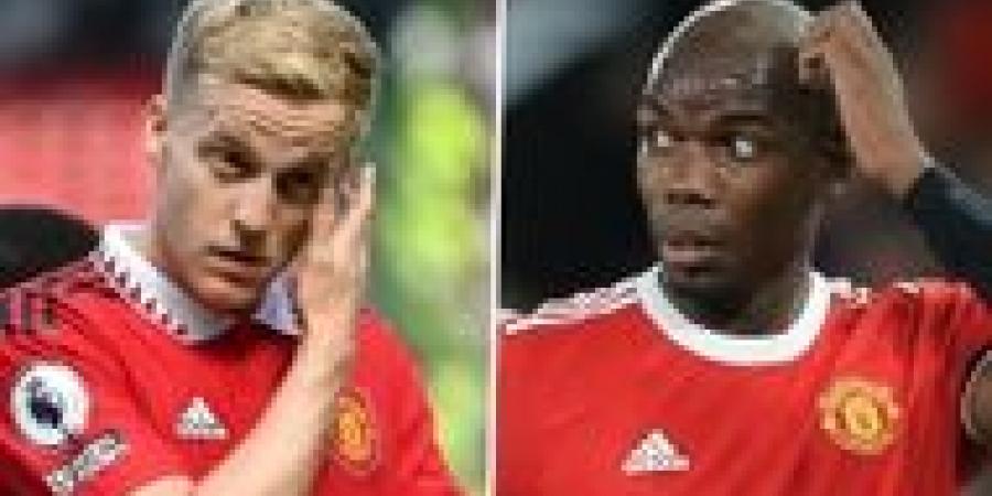 VDB sought Utd exit due to Pogba favouritism, says agent