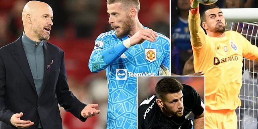 David de Gea's decade-long status as Man United's No 1 is under threat with Erik ten Hag still not convinced... but would targets Unai Simon and Diogo Costa be an upgrade on the £375,000-a-week Spaniard?
