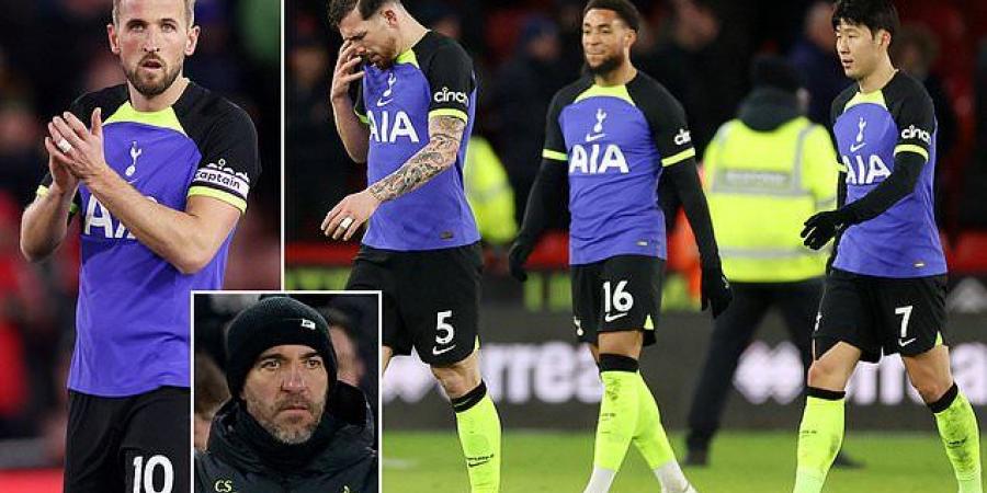 Tottenham No 2 Cristian Stellini says sorry to fans after Spurs were dumped out of the FA Cup at Sheffield United... as he admits they 'missed a big opportunity' and did not match the Blades' 'energy'