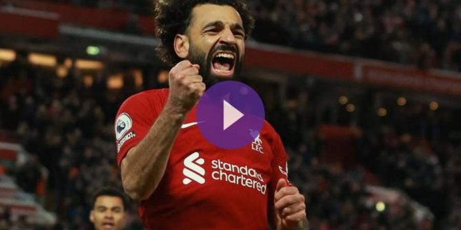 Highlights: Liverpool 2-0 Wolves