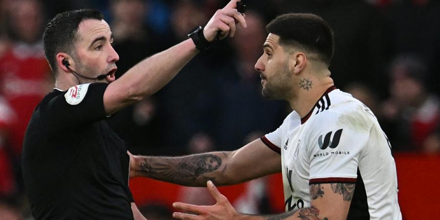 Fulham's Aleksandar Mitrovic makes bizarre excuse for referee push: 'I was trying to get his attention'
