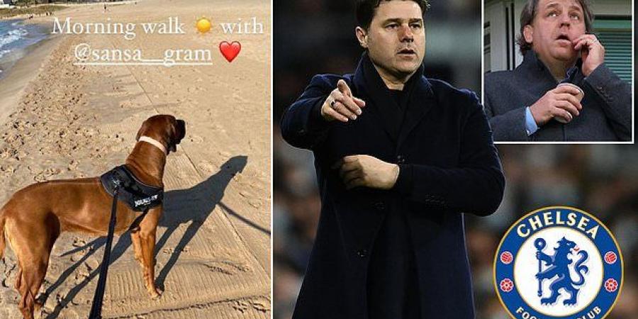 Not rushing back to work! Mauricio Pochettino shares Instagram snap of sunny beach walk with his dog Sansa as talks over the Chelsea manager's job continue