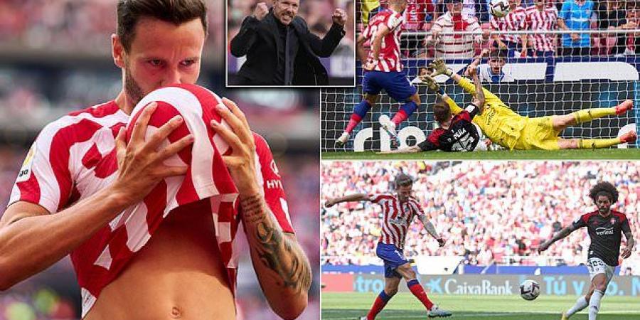 Atletico Madrid 3-0 Osasuna: Yannick Carrasco, Saul Niguez and Angel Correa net for Diego Simeone's side as they leapfrog rivals Real Madrid into second in LaLiga