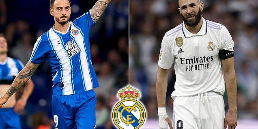 Real Madrid 'are considering a SHOCK move for Newcastle flop Joselu' following his superb season for Espanyol... with the Spanish giants eyeing up the 33-year-old striker as back-up to Karim Benzema 