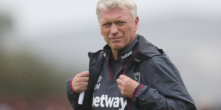 West Ham 'advertise SEVEN squad positions on online transfer website' as the Hammers' struggles in the market continue despite making £105m from Declan Rice sale