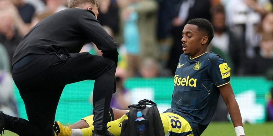Joe Willock will miss the rest of the campaign in the latest injury blow for Newcastle - as it's decided midfielder should rest troublesome achilles in order to be fully fit for pre-season