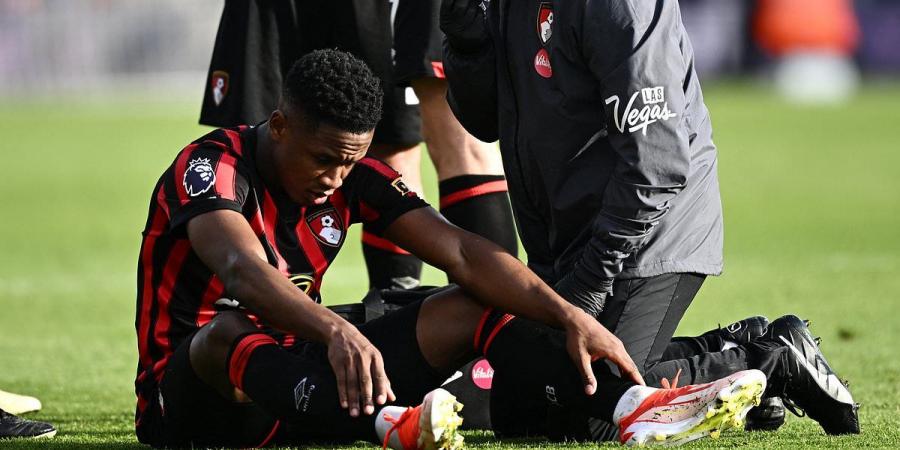 Bournemouth suffer fresh injury blow as Andoni Iraola confirms Luis Sinisterra could MISS the rest of the season - having only just returned from a muscle strain