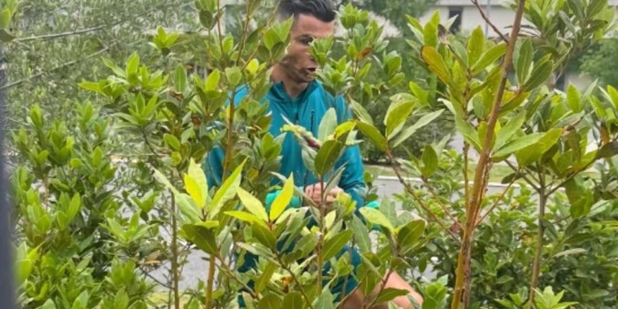 Cristiano Ronaldo climbs through bushes to take selfie with adoring Portugal fans as the 39-year-old beams ahead of opening Euro 2024 clash with Czechia