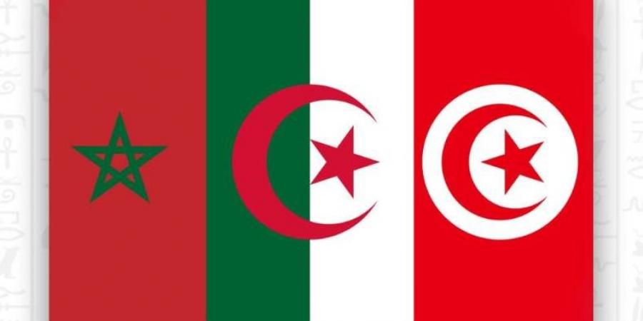 المغرب وتونس والجزائر 3 ممثلين للعرب في كأس أمم إفريقيا للسيدات 2025