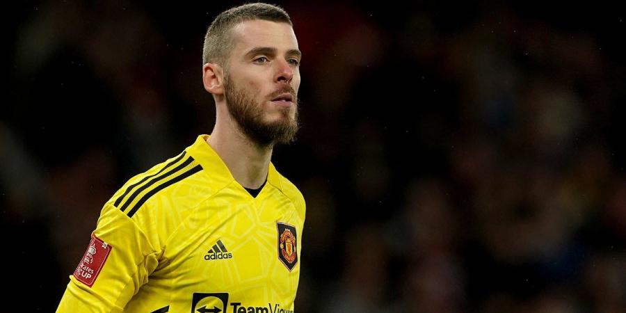 Former Manchester United goalkeeper David de Gea 'open to potential move to Serie A side' following a year without a club