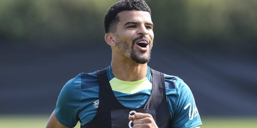 Tottenham 'believe they can bring in Bournemouth striker Dominic Solanke BEFORE the start of the season' - with Richarlison expected to book exit to Saudi Arabia