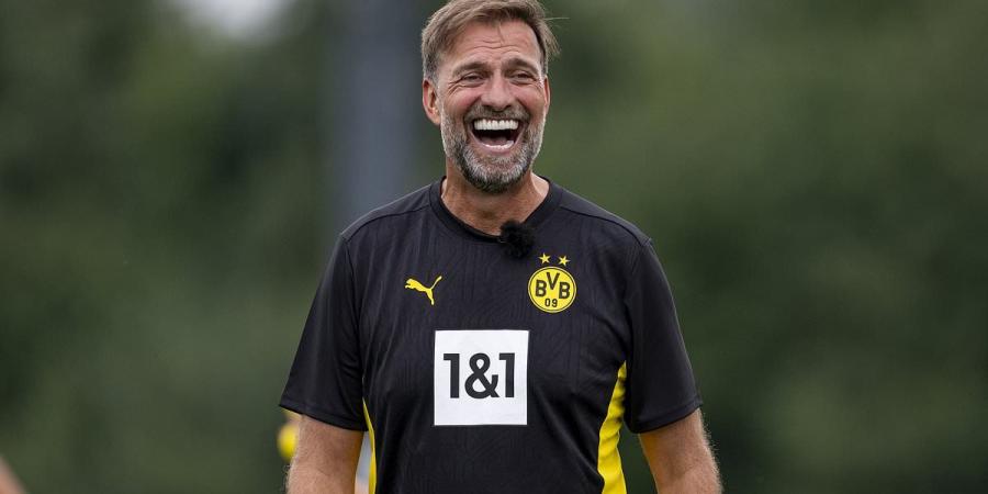 Jurgen's happy return: Klopp pictured back at Dortmund as ex-Liverpool boss prepares to take charge of testimonial match