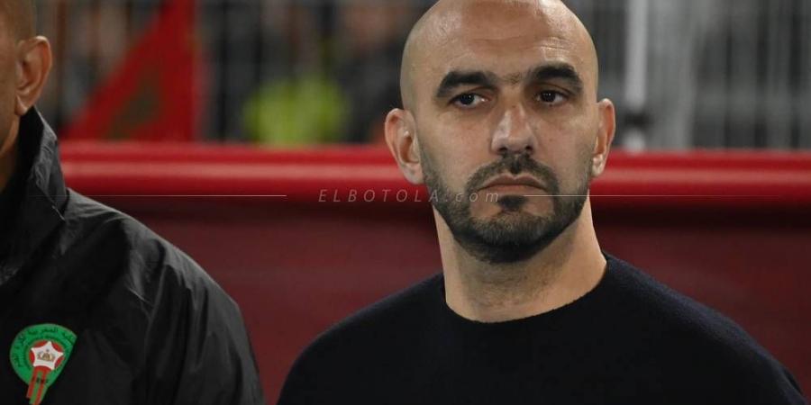 في آخر 12 مباراة تحت قيادة الركراكي.. المنتخب المغربي يحقق أفضل النتائج مقارنة بباقي المنتخبات الأفريقية الكبرى
