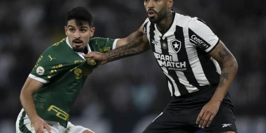 موعد مباراة بالميراس ضد بوتافوجو في كأس العالم للأندية