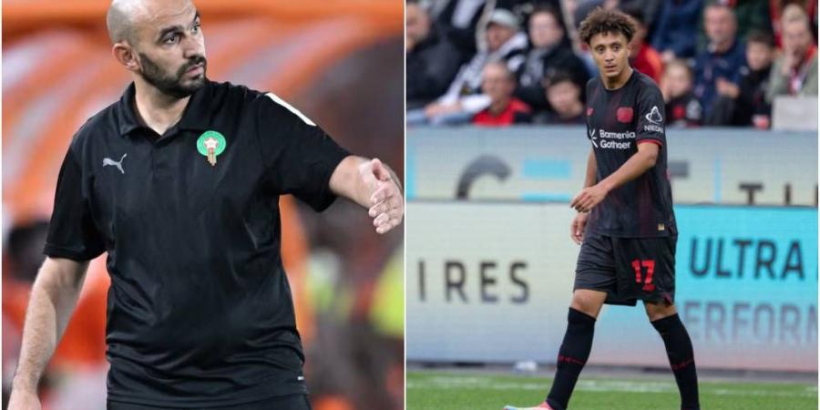 الركراكي: "بنصغير كان يعاني من إصابة واتفقنا مع ليفركوزن على تقليل وقت لعبه مع اتباع برنامج محدد ليكون جاهزا لـ'الكان'"