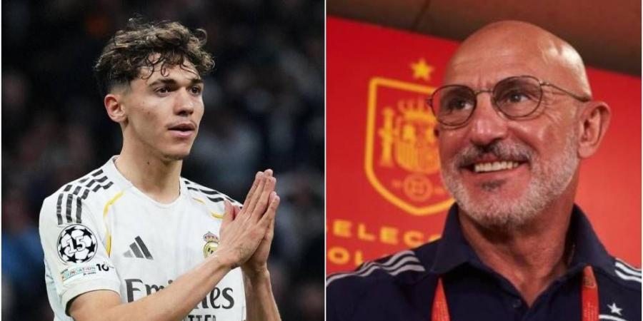 دي لا فوينتي: "بيتارش يريد اللعب مع إسبانيا"