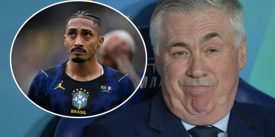 أنشيلوتي: "رافينيا شعر بانزعاج في العضلة أمام فرنسا لذلك تم استبداله بين شوطي المباراة"