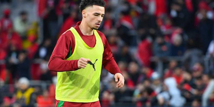 الطالبي: "تركيزنا منصب على كرة القدم وسنكون جاهزين لكأس العالم"